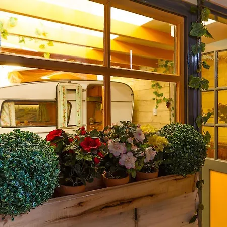 Campingplads Indoor City Camping Alkmaar